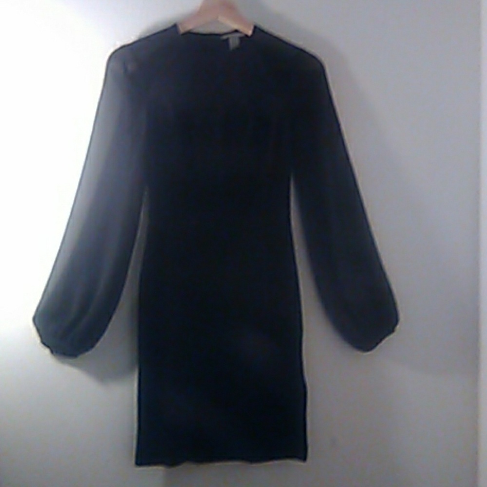 H&M Sheer Sleeve Velvet Dress